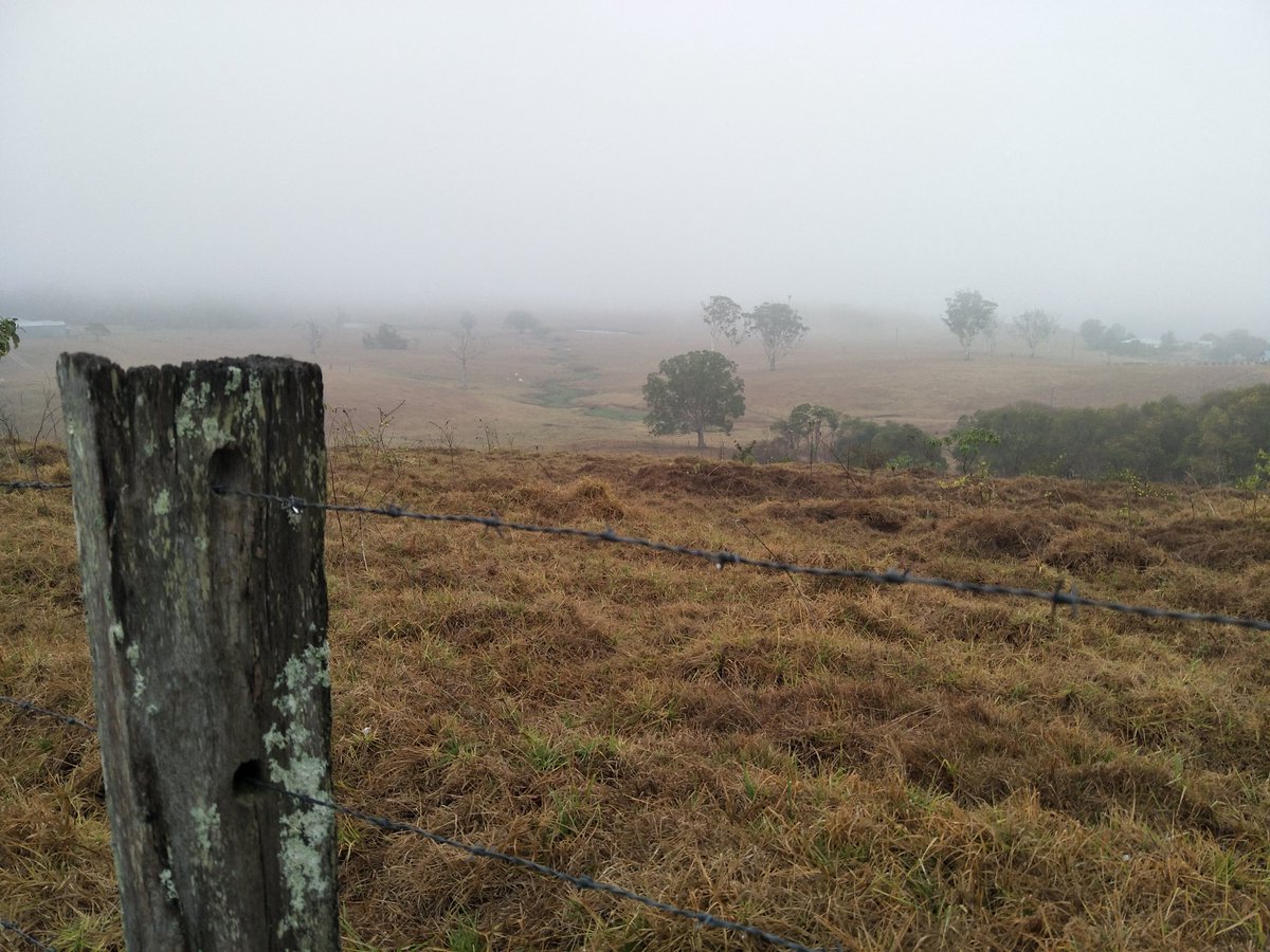 Classic_Clunker's tweet photo. Early morning run in my dusty #Subaru #Vortex #XT up to misty #MtMee. Had to use the windscreen wiper for the first time in a long time. https://t.co/QyniTouxxb