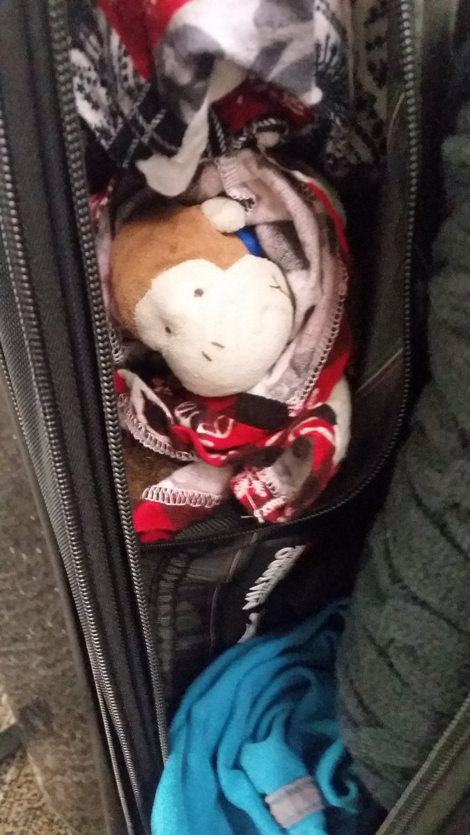 TravelMonk2's tweet photo. There you are Monkles! @babymonk13
That sure was a #monkeyadventure
Glad we are back together! https://t.co/DlkDtQHn1K