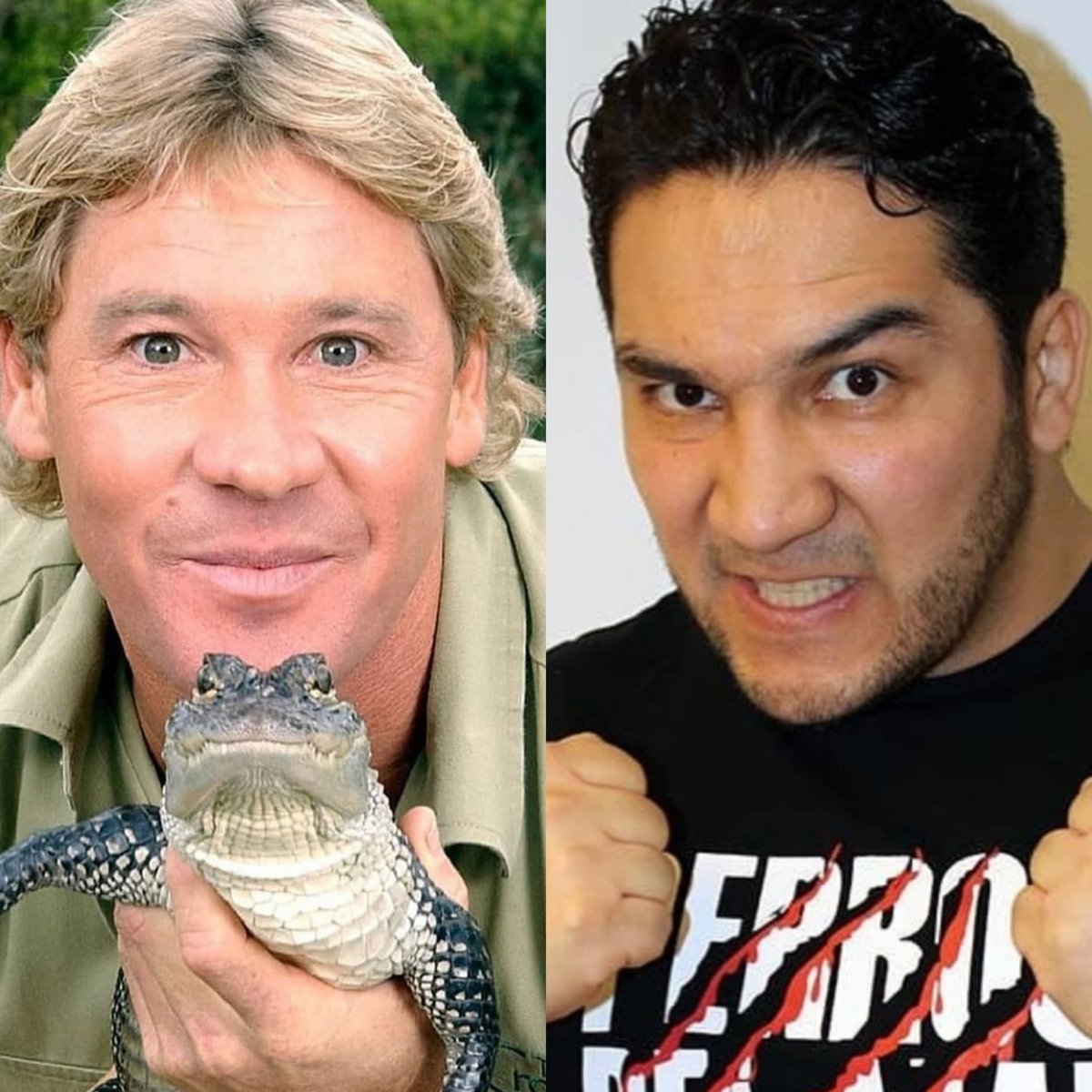 Telemundo's tweet image. 10 famosos que murieron haciendo su trabajo: Steve Irwin, Perro Aguayo Jr. y más. Vía @latinxnow (📸 #majesticproduction/ #quickcatch) 👉tlmdo.co/2Qa8btN