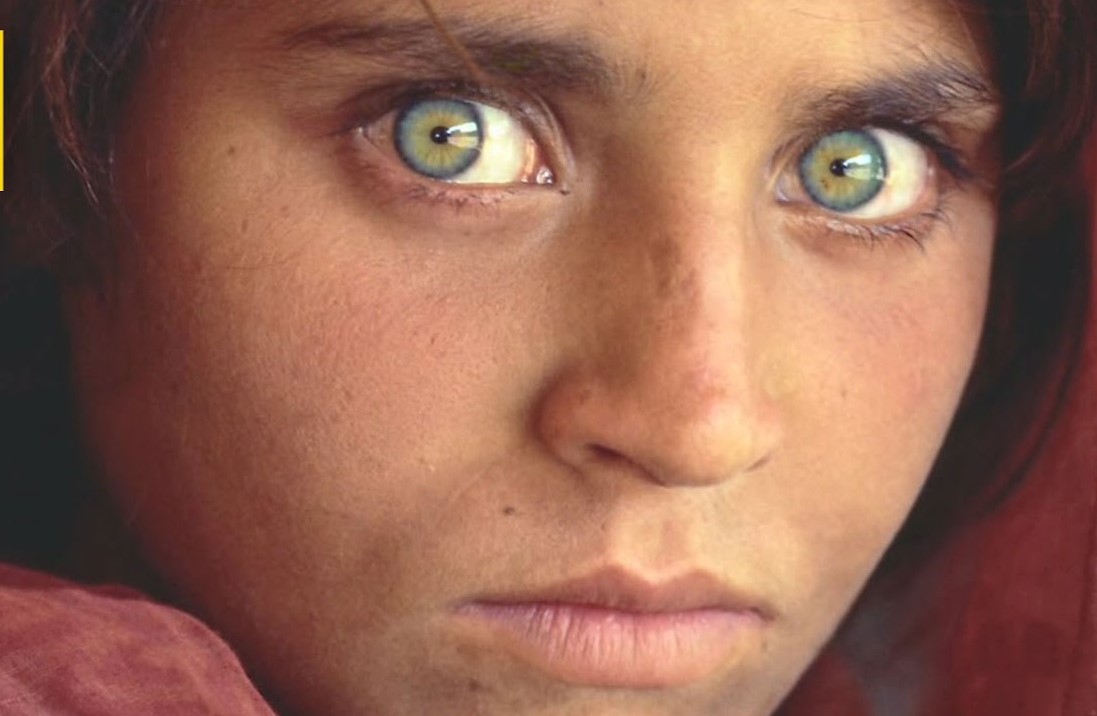 Asifrahmanmolla's tweet photo. We have supreme authority because we are the masses. Nothing can be changed in society without the mass public getting behind a cause.

Let's fight back the tyranny and oppression. One India, many faces. Treasure of India is United India.

Pic Credit : National Geographic https://t.co/g8aKFrl6Mr