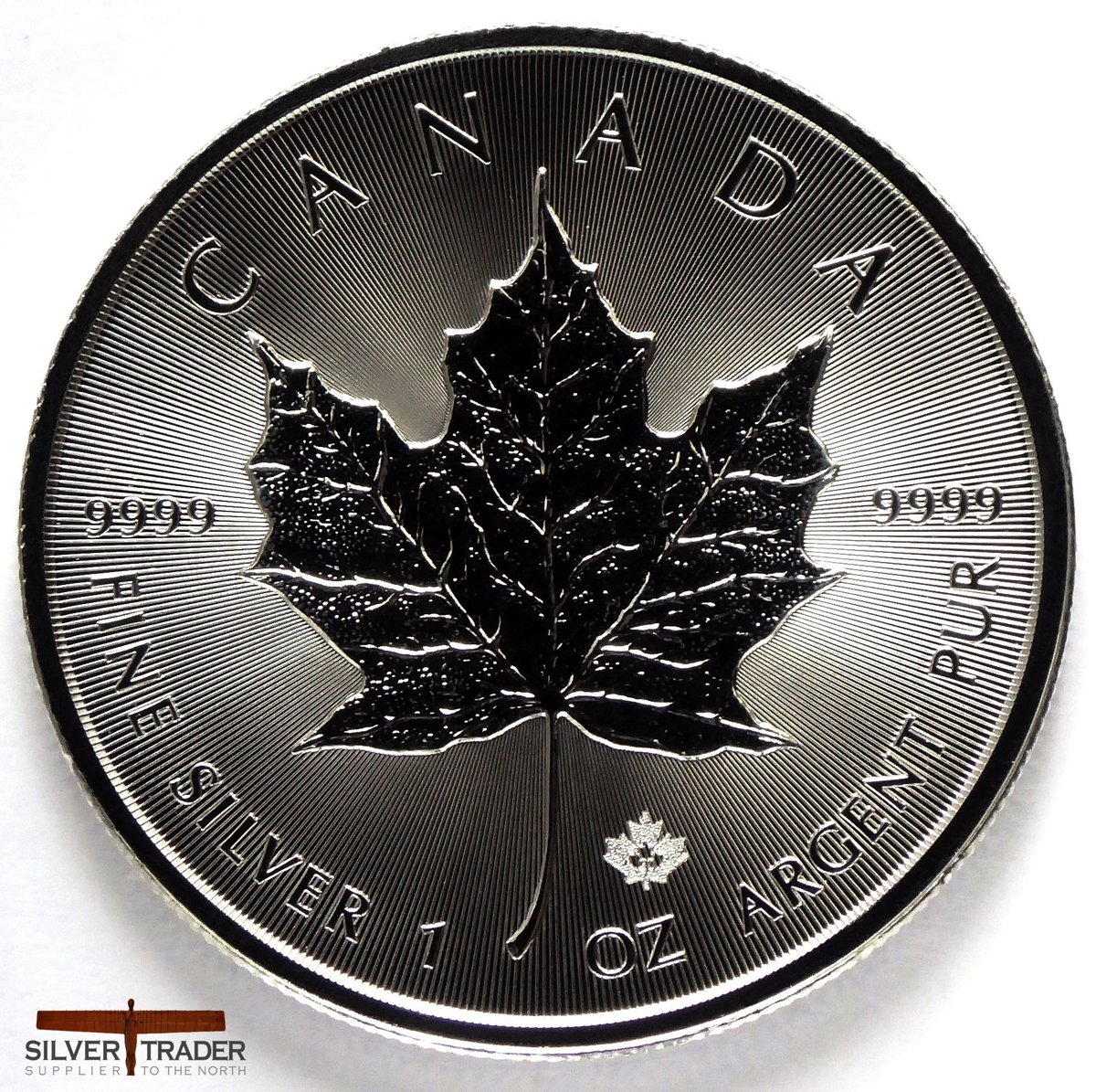 SilverTraderUK's tweet photo. The 2020 #Canadian #Maple_Leaf 1 oz #Silver Bullion Coin is now available at https://t.co/vHeXs818cP https://t.co/BPvK5m2ep9