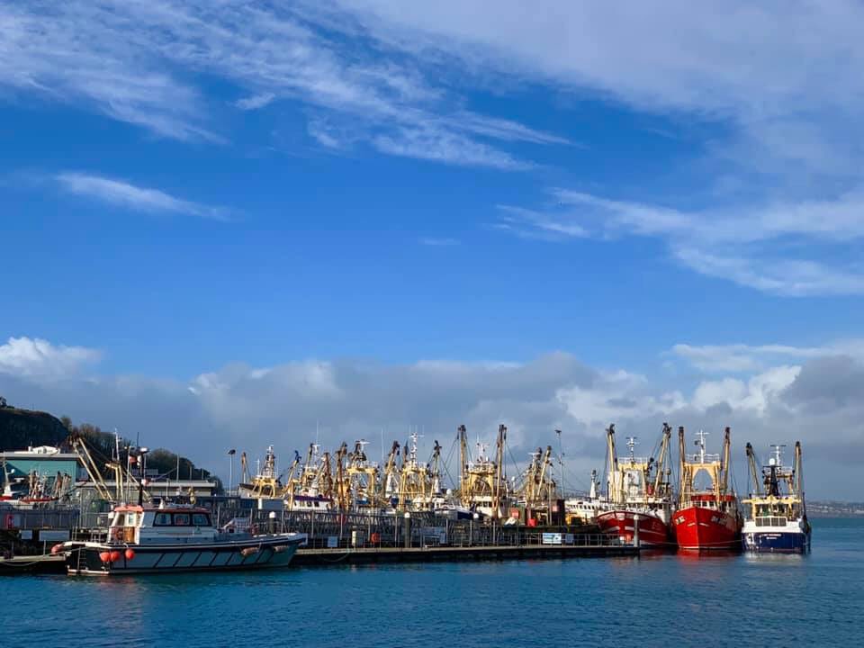 BrixhamUp's tweet photo. Merry Brixmas from the beautiful Brixham today. Neil &amp; Vixxxy (PS Even better at night 😂) 🐙🧞‍♀️ https://t.co/TZAz3JdhMw - #bluesky #december #Brixmas https://t.co/B8tswh4BgV
