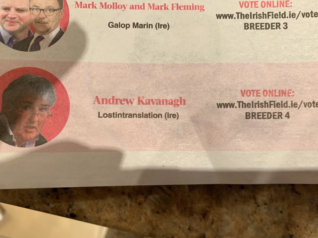 RollineOC's tweet image. I might be biased but I think my dad is not only the most wonderful person but also a pretty good breeder too! To all the #lostintranslation fans out there, please take the time to vote for him in the Irish Field Breeder of the Month. Thank you!