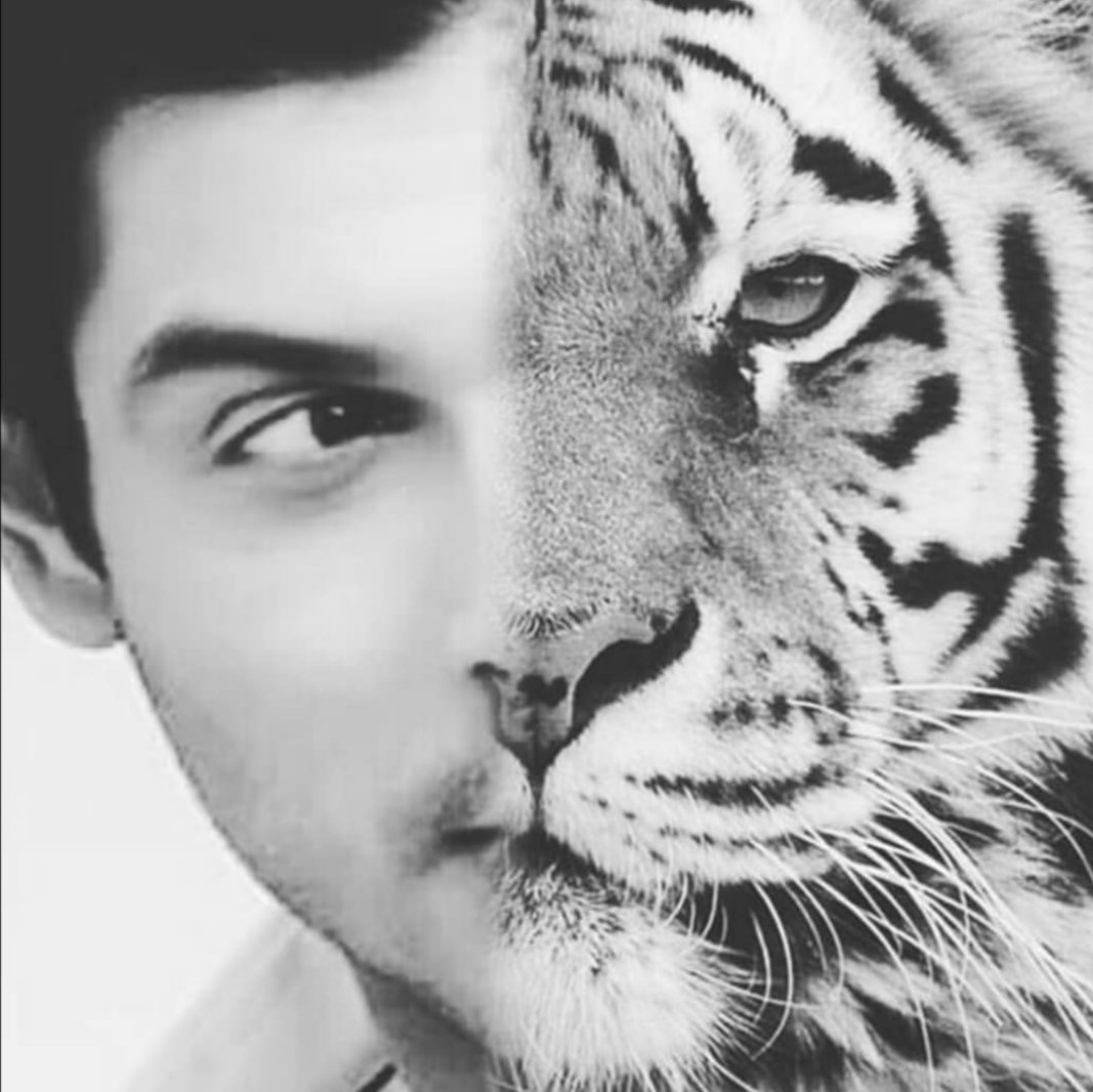 deepsaini004's tweet image. #StopTargetingSid #WeSupportSidShukla #SidhartShukla @SidArmy_BB13 @Sid_winner @Siddians @sidharth_shukla