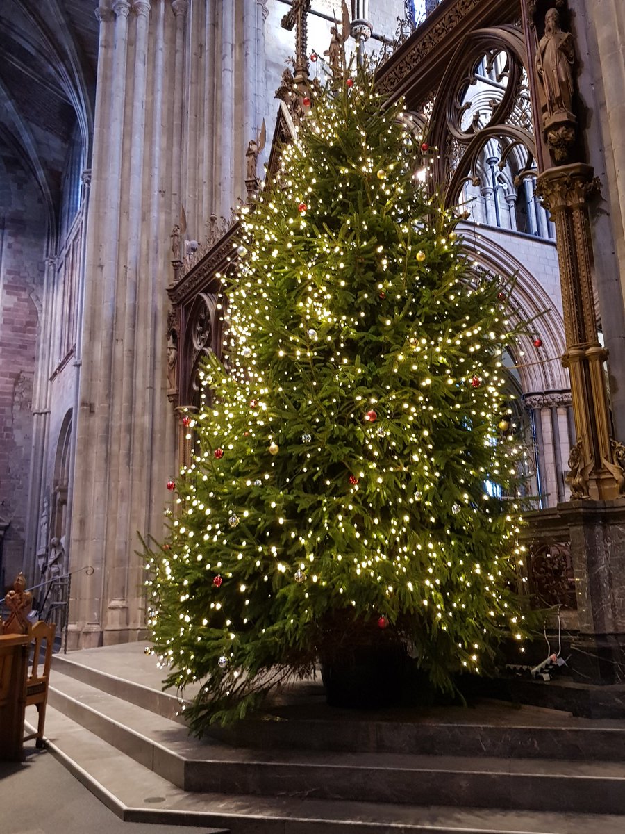 vraygilbert's tweet photo. #worcestercathederal #Christmas #Trees beautiful https://t.co/O9BE5SNpJT