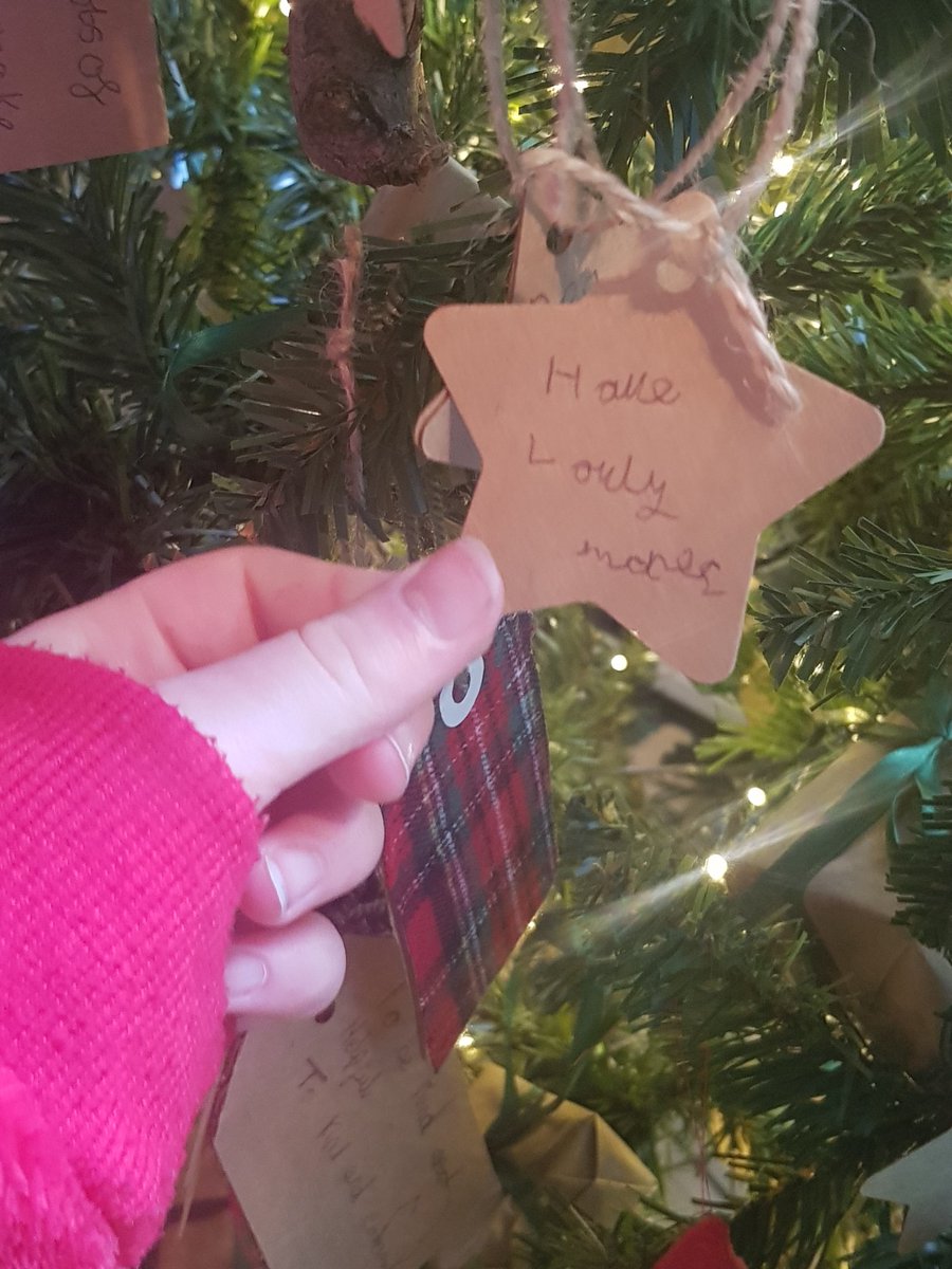 vraygilbert's tweet photo. #worcestercathederal #Christmas #Trees beautiful https://t.co/O9BE5SNpJT