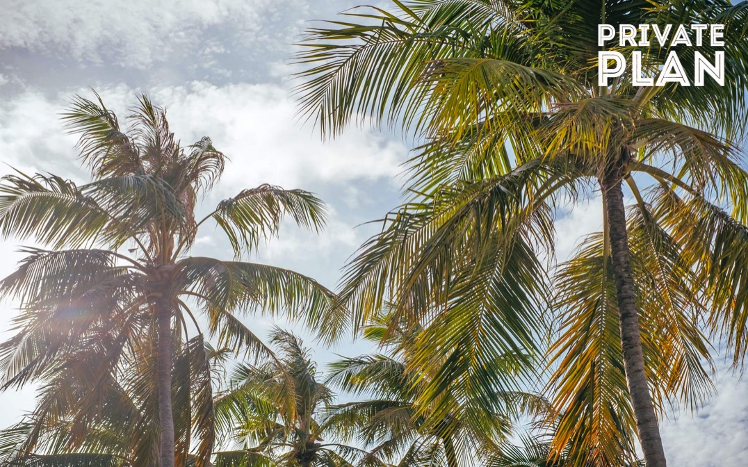 Private_Plan's tweet photo. Pack to reduce plastic use: bring your own bag, bottle &amp; toiletries. #Reef-friendly sunscreen is a must. Keep it light: less weight means fewer CO2 emissions from the flight. And it gives you more freedom to explore. 🌴https://t.co/s4s9pQ8rIs #sustainabletravel #privateplan https://t.co/2DxpCrIUe3
