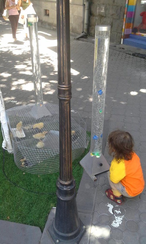 Shahrokh when was in Armenia