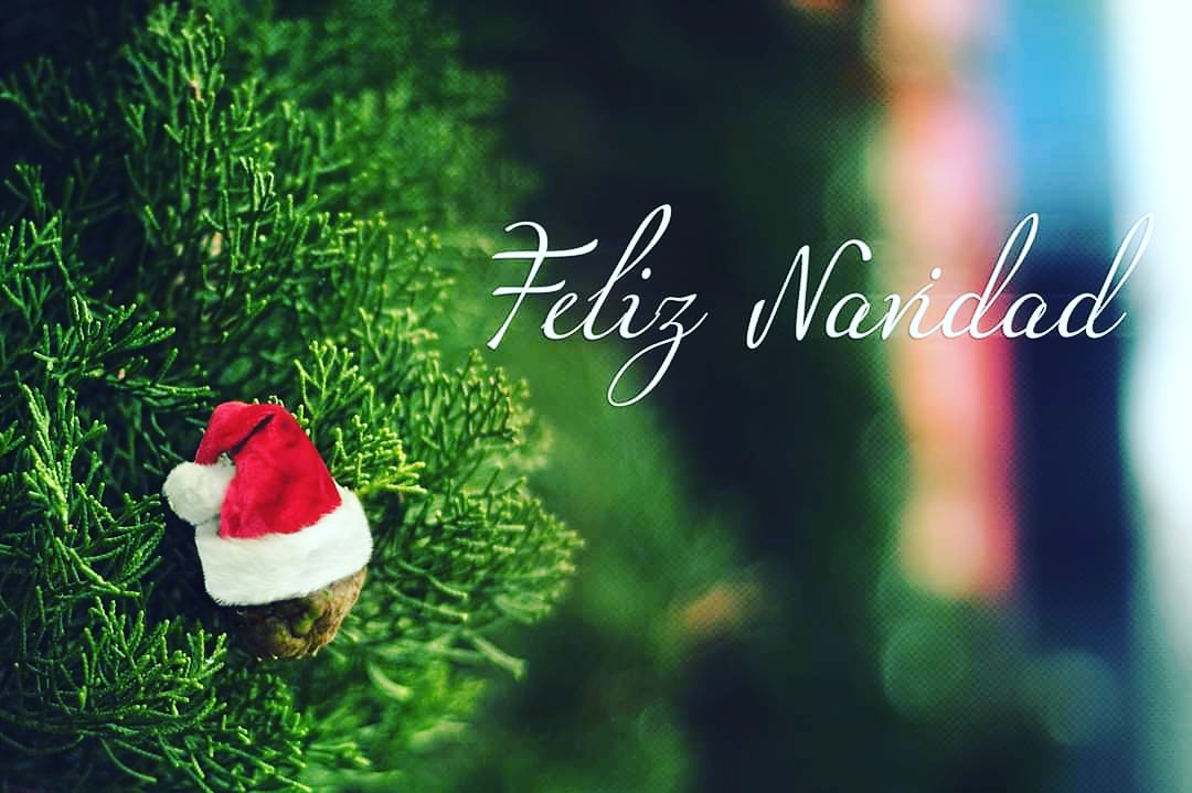 BonDiaMariaRest's tweet photo. ¡Que paséis muy buenas FIESTAS!
🥳😍🥳😍🥳😍 https://t.co/CsKyinlrwk