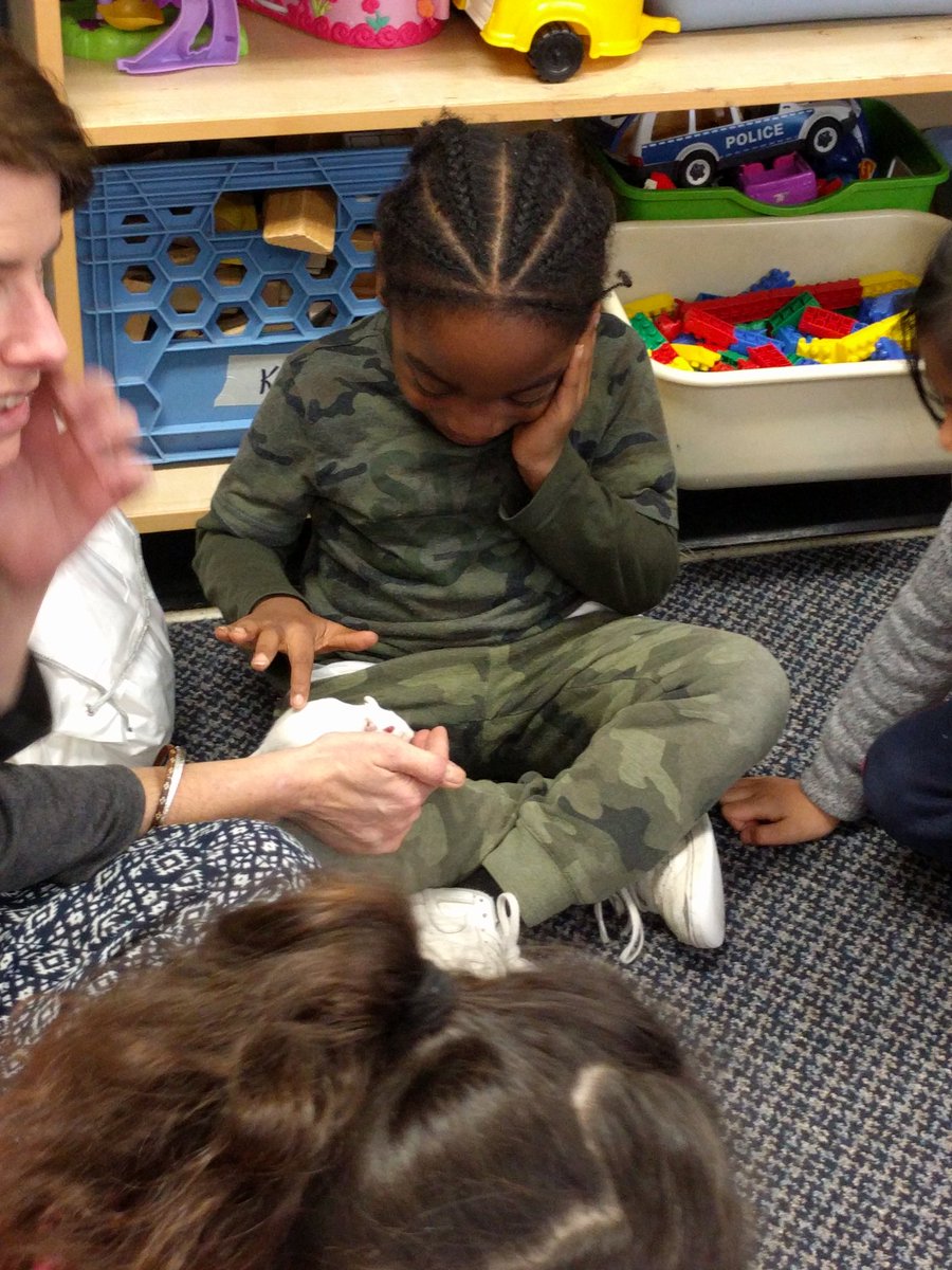 TaunyaAhier's tweet photo. Awesome to end the last week of school 2019 with #Pause4Paws in kindergarten @GenCrerar ! @twmckeown1 @JeannetteRebelo https://t.co/QaWhXyP1Wv