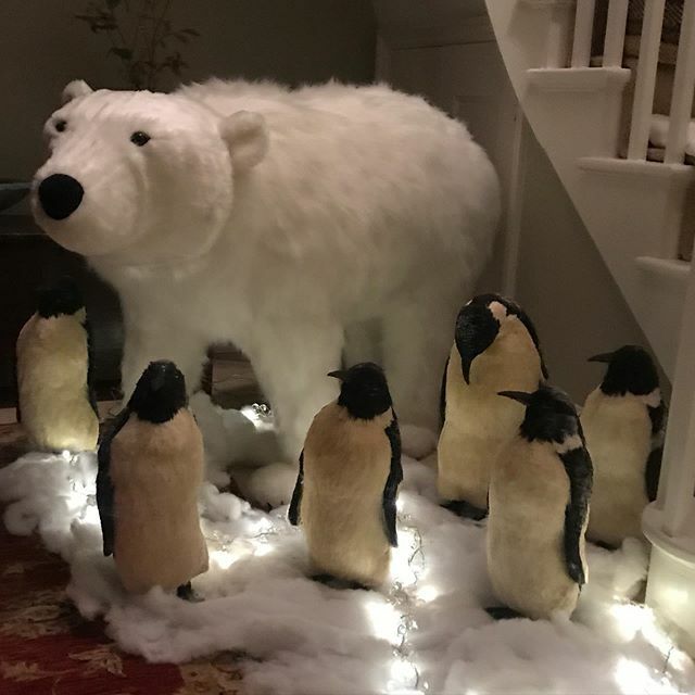 It’s officially Christmas now Russell and his friends have joined us! Happy Christmas #sprigsandstems ift.tt/2Mfs819