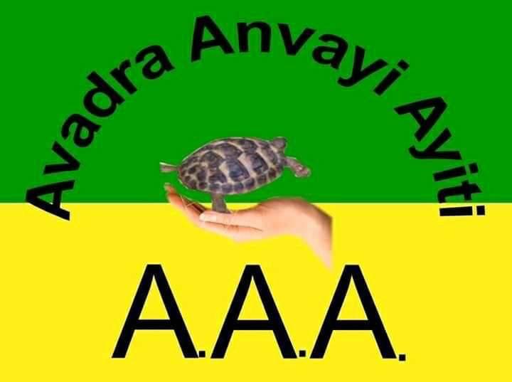 ayitipeyi tweet picture