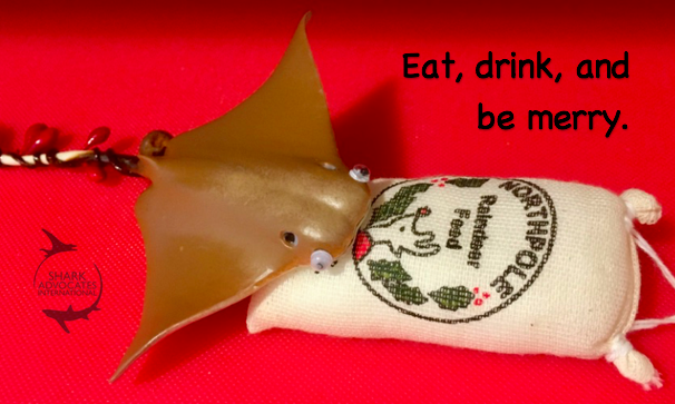 SharkAdvocates's tweet photo. #HappyHolidays #HooRay4Rays https://t.co/yaphJzLamh