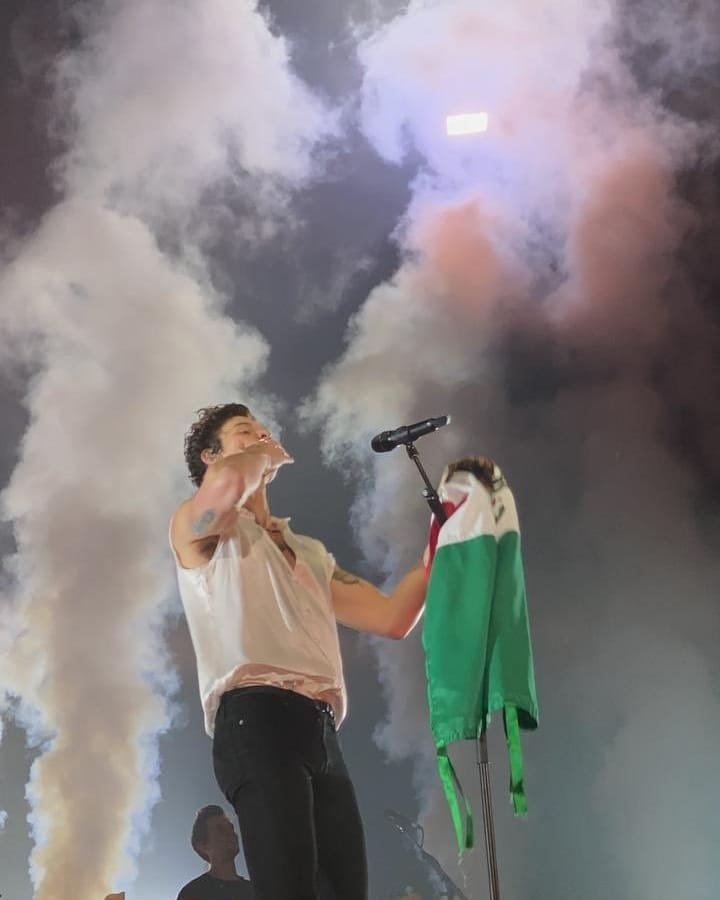 carolovesvinnie's tweet photo. finalmente acabo el shawn mendes the tour y me siento muy orgullosa de todo lo que paso en este año🥺, por mientras, dejaré fijado este tweet con estas fotos hasta que te conozca y vuelvas a venir de nuevo a México, te amo, y me inspiras como no tienes idea🥺 https://t.co/r7A6VAEb47
