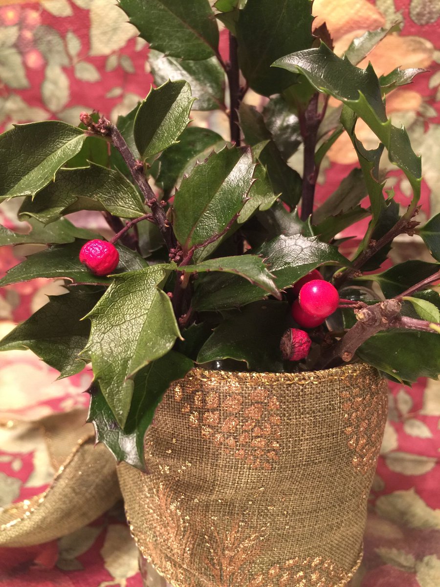 “Have a HOLLY jolly....”

👉   bit.ly/FunLearn

bit.ly/English2e
bit.ly/CollegeInUSA

#learnenglish #english #esl #ell #enl