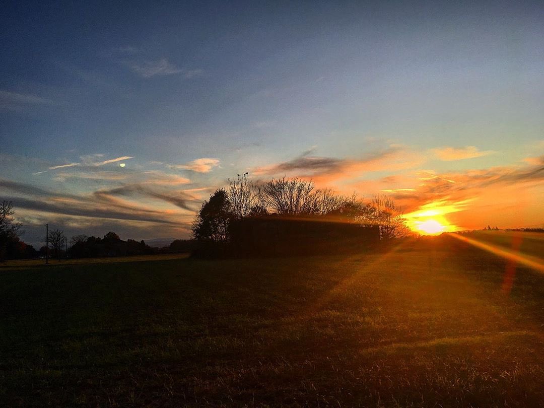 Riflessi della notte...
#correggio #sanbiagio #meteodacorreggio #campagnaemiliana #photography #photooftheday #photographer #naturephotography #travelphotography #photographers #travelphotography #travel #tramonto #tramonti_italiani