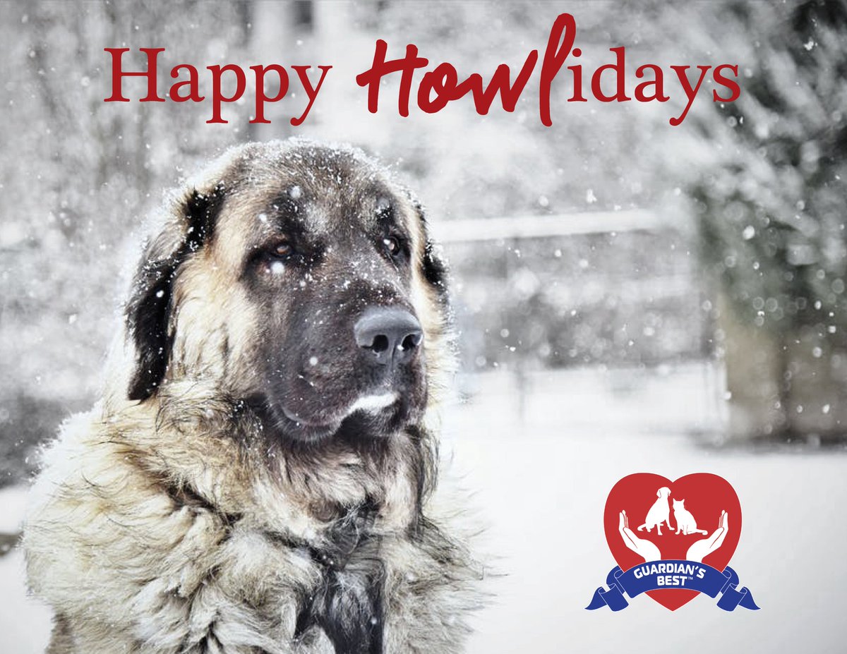 GuardiansBest's tweet photo. Spend the holidays with your pet friends. https://t.co/e43uCIZBuN