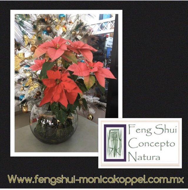 monicakoppel's tweet photo. Integrar una nochebuena en espacios fríos y oscuros como baños imprimirá el balance a un ambiente frío y demasiado yin! https://t.co/HJk1uwVLxj #tips #tipsfengshui #fengshuinavidad #navidad #ambientesnavideños https://t.co/tyQDyNMzHF