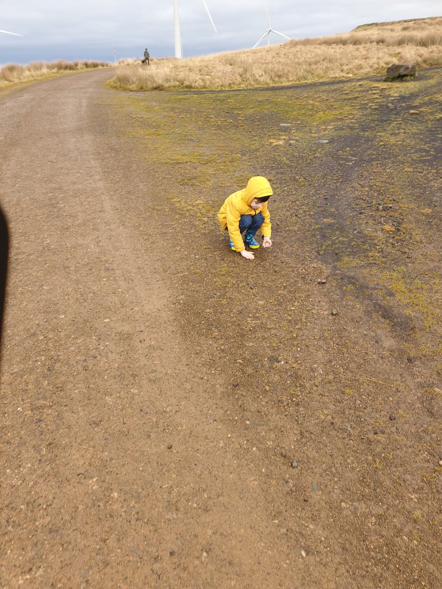 johnbaker305's tweet photo. Took grandson up whitelees windfarm today , I think he was wanting to do a bit of cut to fill on the potholes on the road ๐
๐คฃ๐คฃ #diggerdriver https://t.co/R8qOg2qTR1