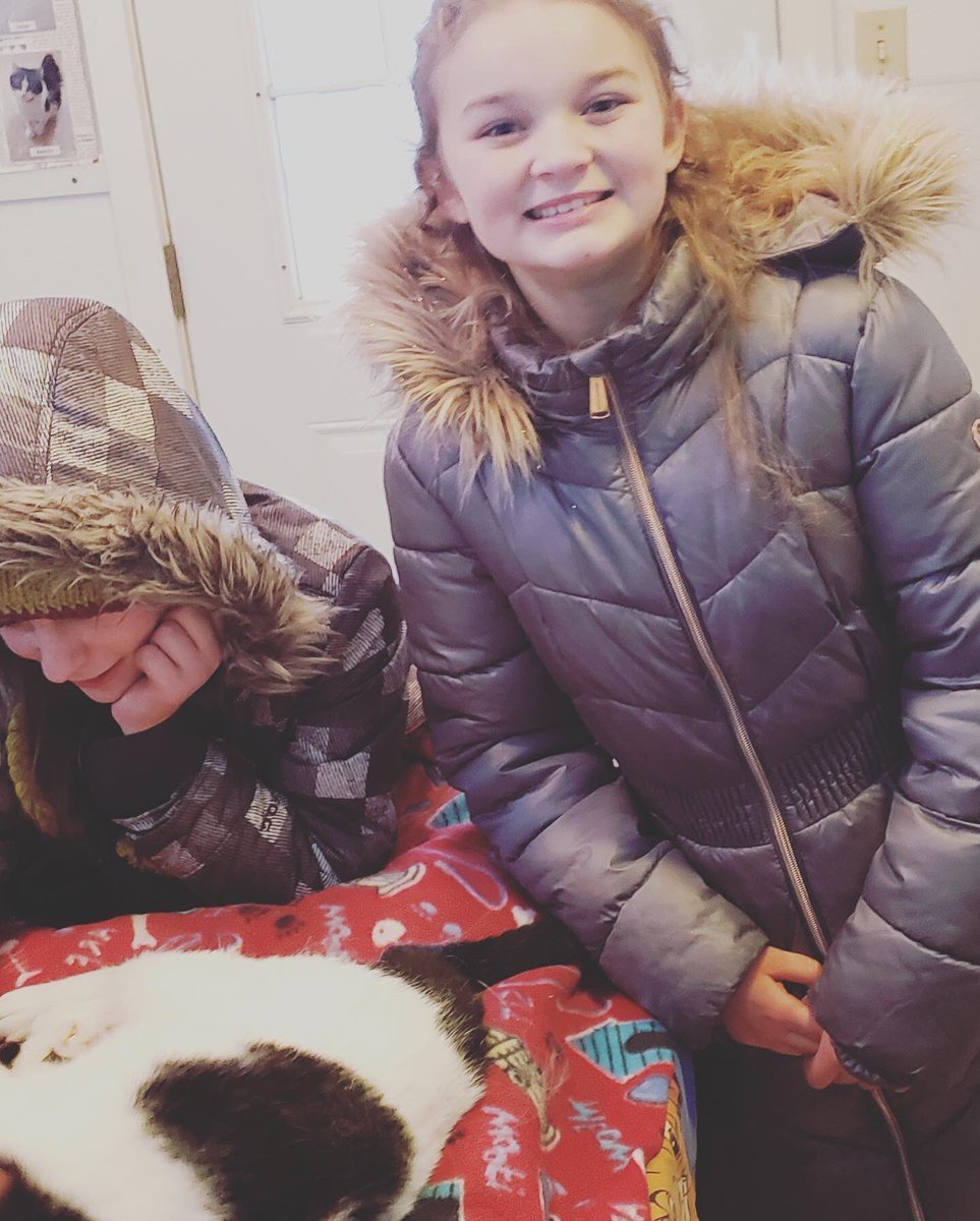srfcsd's tweet photo. #srfsaints went to the #cat palace this past week to donate time and visit with some animals that needed some love! #yearofinnovation #srfcsd #srfcatpalace #volunteering #givingback https://t.co/ycVZUUtqHi