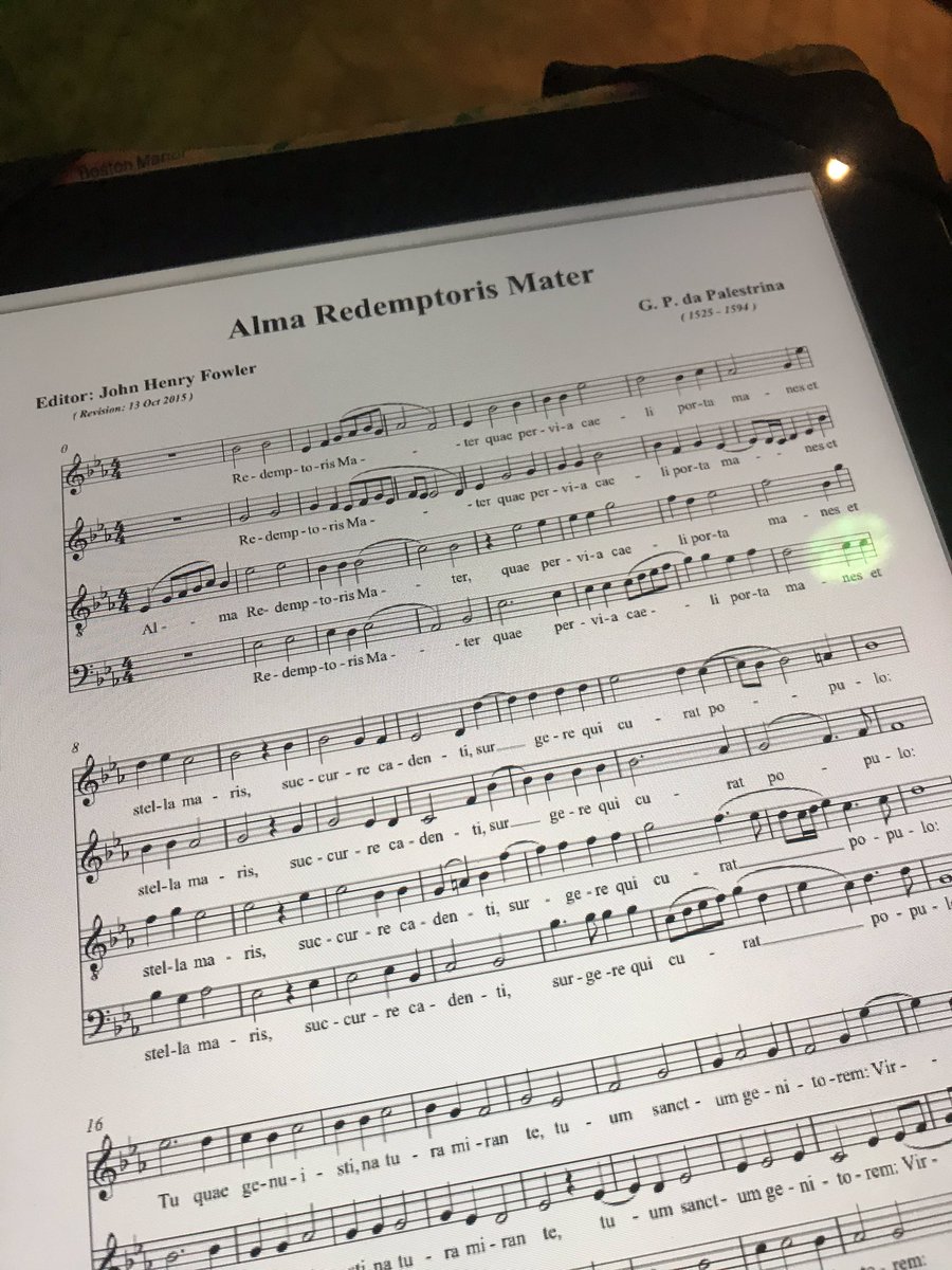 Kat 🦁 tweet media