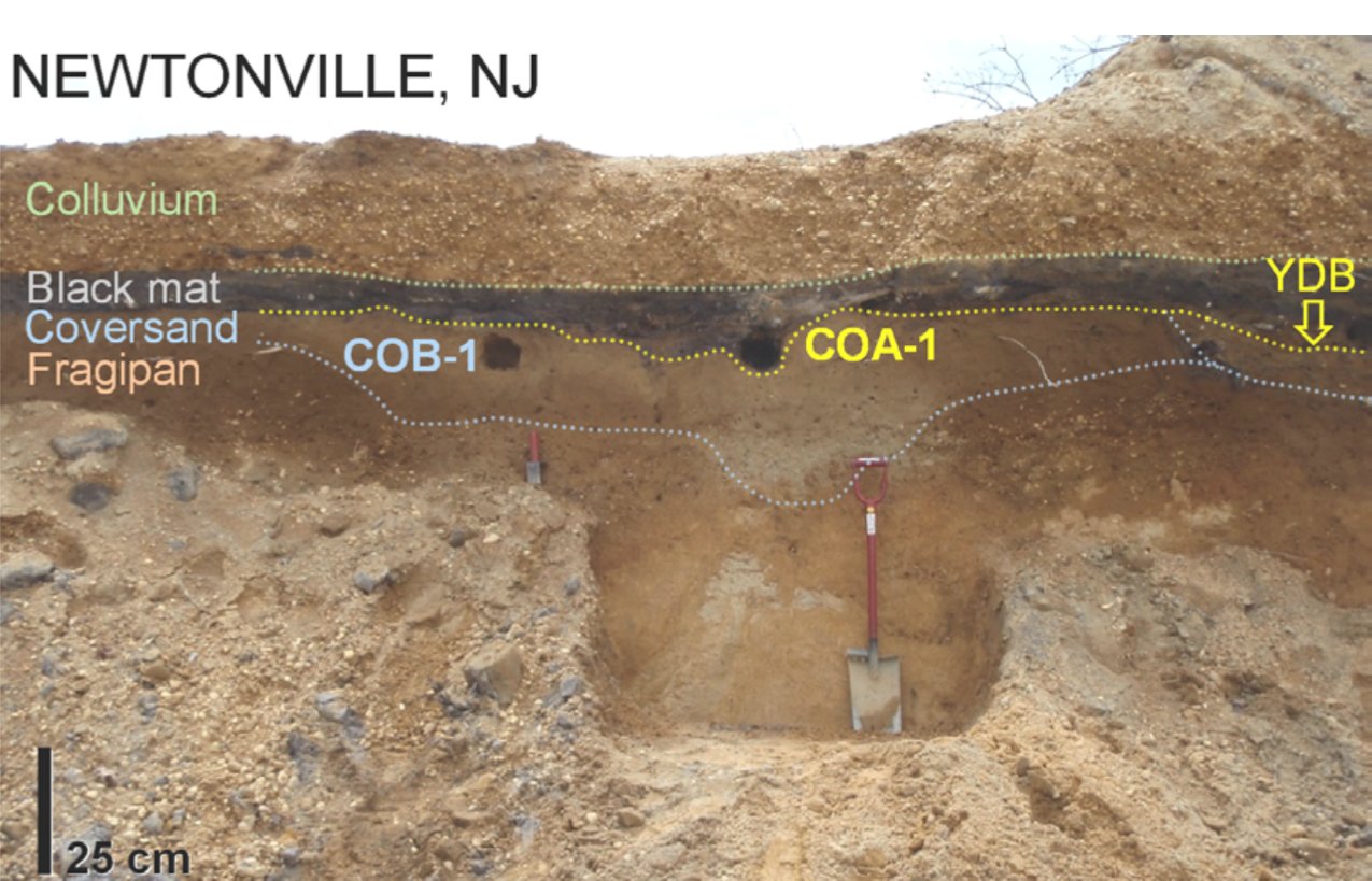 George Howard on X: Here is a cool pic of the Younger Dryas Black Mat in  New Jersey. The Younger Dryas boundary, below the mat, is chock full of  nanodiamonds created in