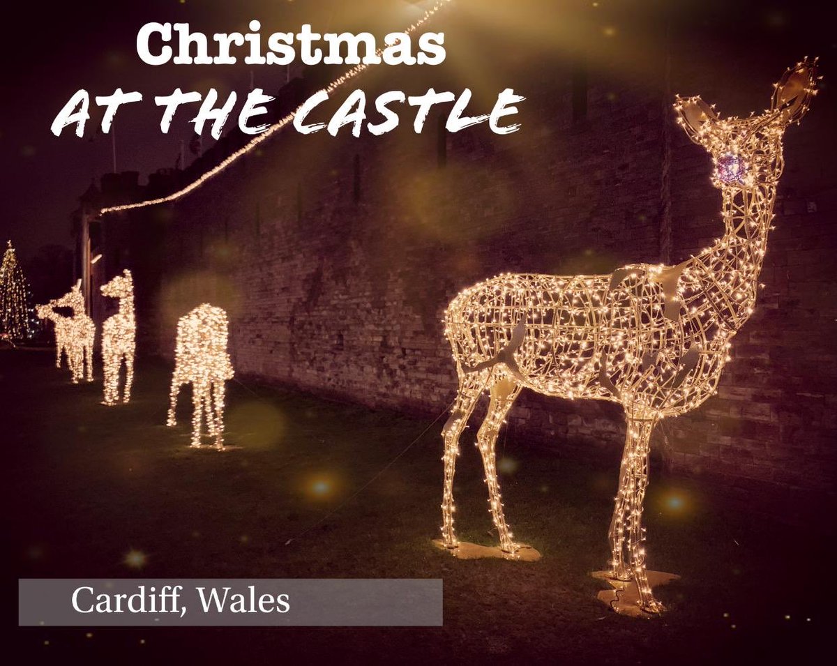 Loved these 🎄⛄️ <a href="/cardiffcastle/">CardiffCastle</a>