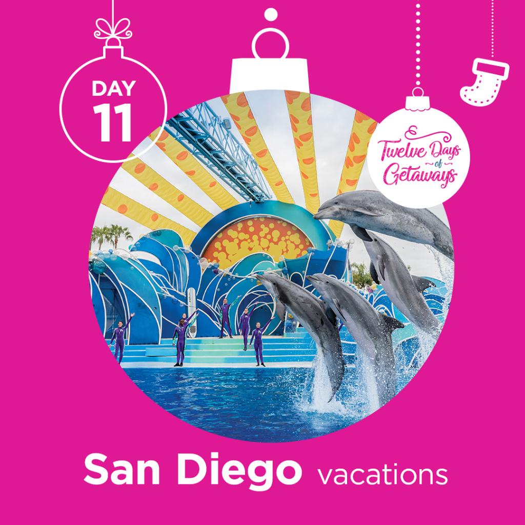 FlySwoop's tweet photo. Help us welcome our new friend #SanDiego to the party! Book your #SwoopGetaway today & save!
Book Now: https://t.co/dWErrD7rpc
✈Fly Edmonton to San Diego from $159 CAD total price one-way ~ Book by Jan 5, 2020 for travel between Apr 26-Jun 24, 2020. Restrictions apply. https://t.co/r4awRNUQxs
