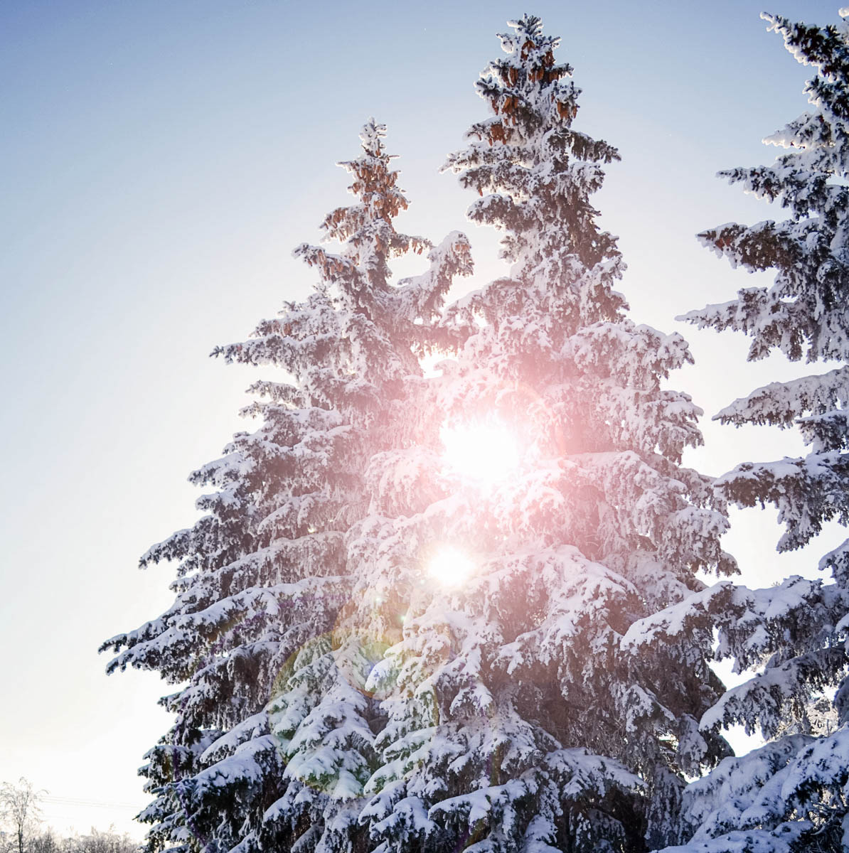 The Ladies Community tweet media