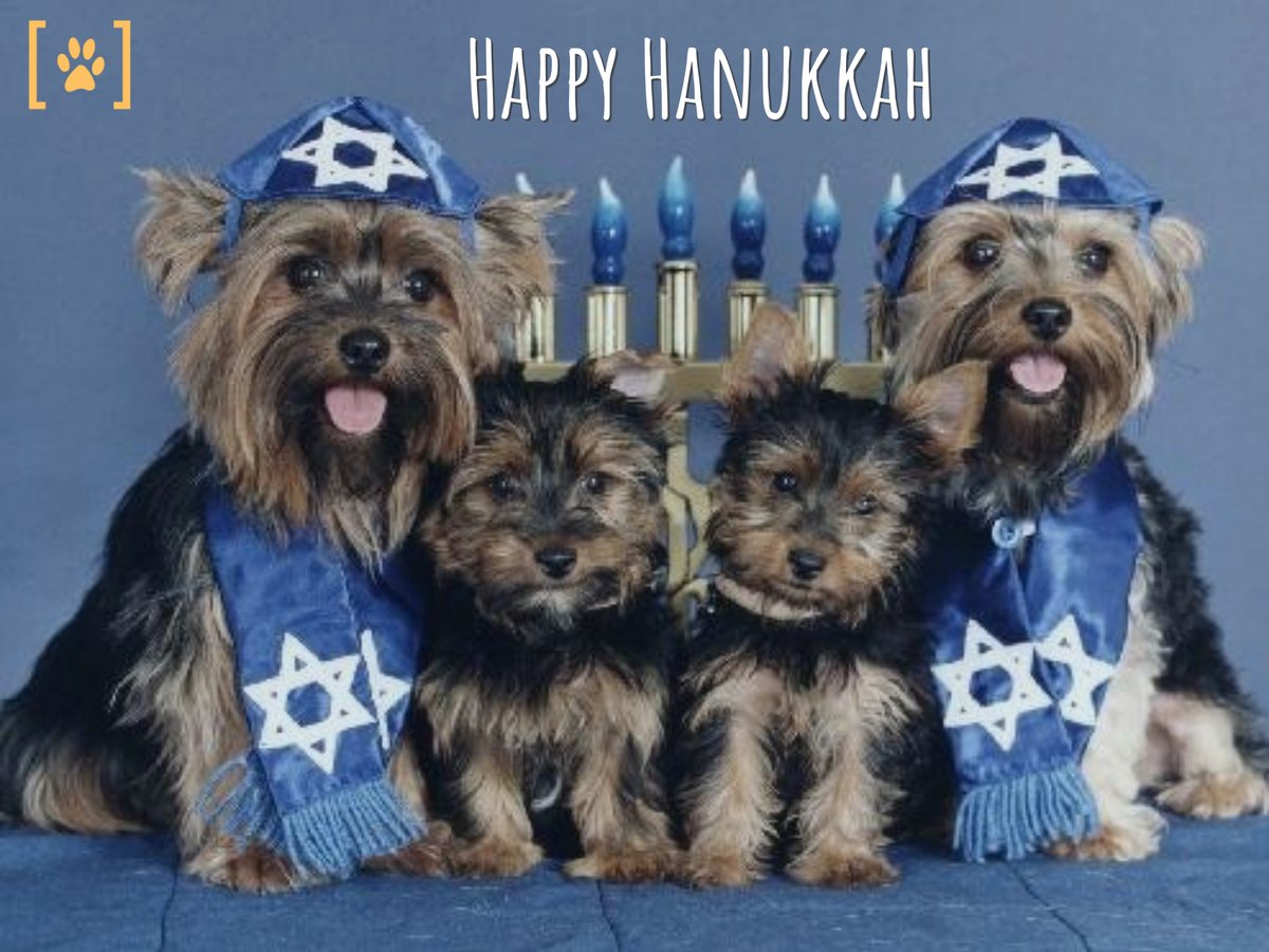 StuffForYourDog's tweet photo. https://t.co/xqWLnsZcER