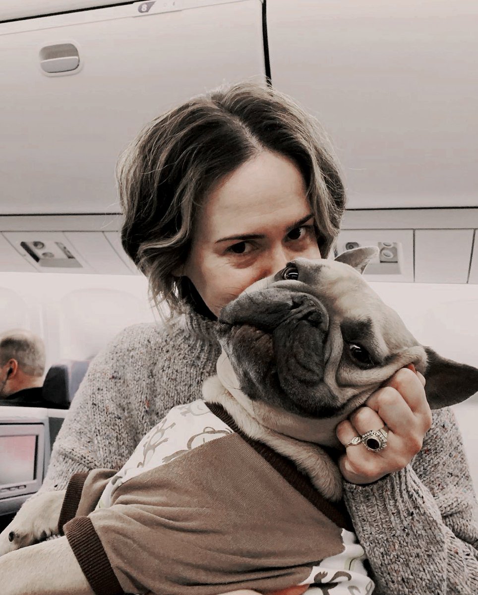 sarah paulson with a dog today on airpoint of LA.