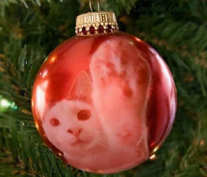 riotburnz's tweet photo. Das Letzte, was eine Weihnachtskugel sieht. https://t.co/HEBjVutWmt
