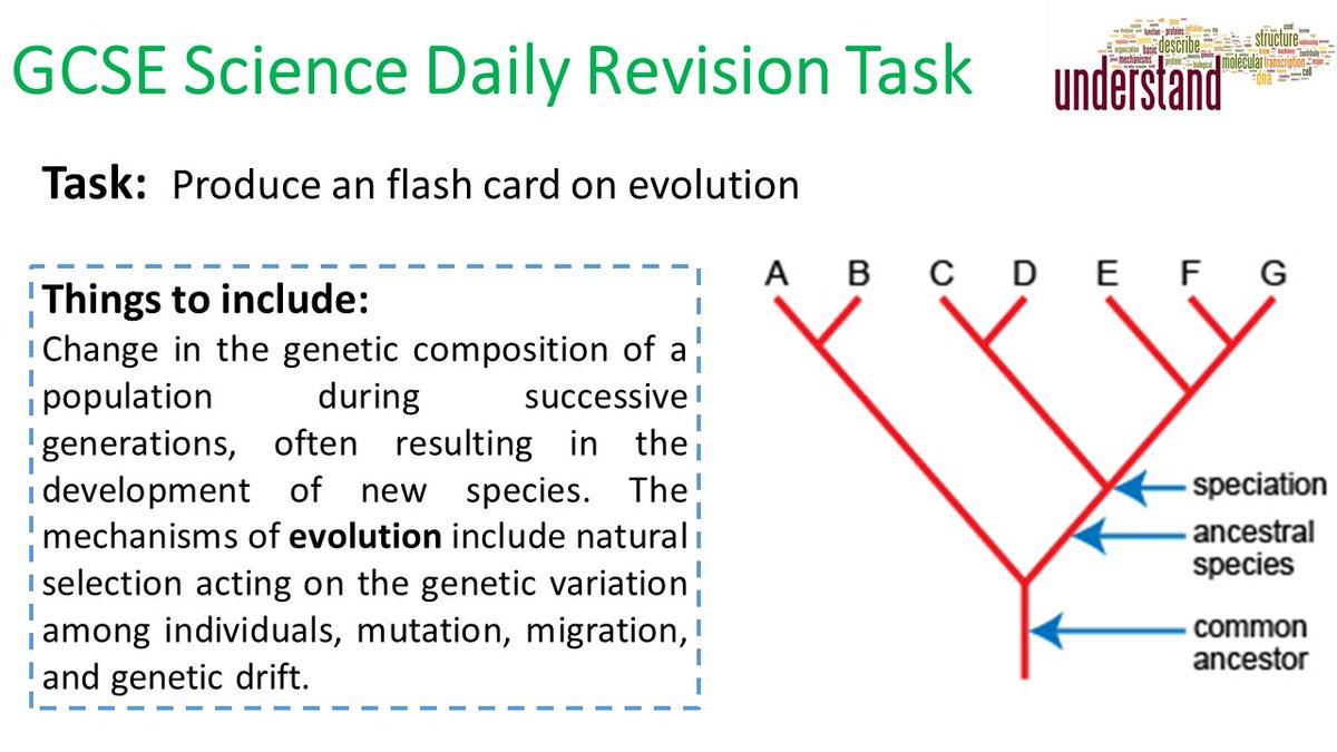Don't leave your revision until the last minute! Here's today's GCSE Science revision task

#ukedchat #science #nqtchat #ittchat #aussieED #edchat #aqascience #revision