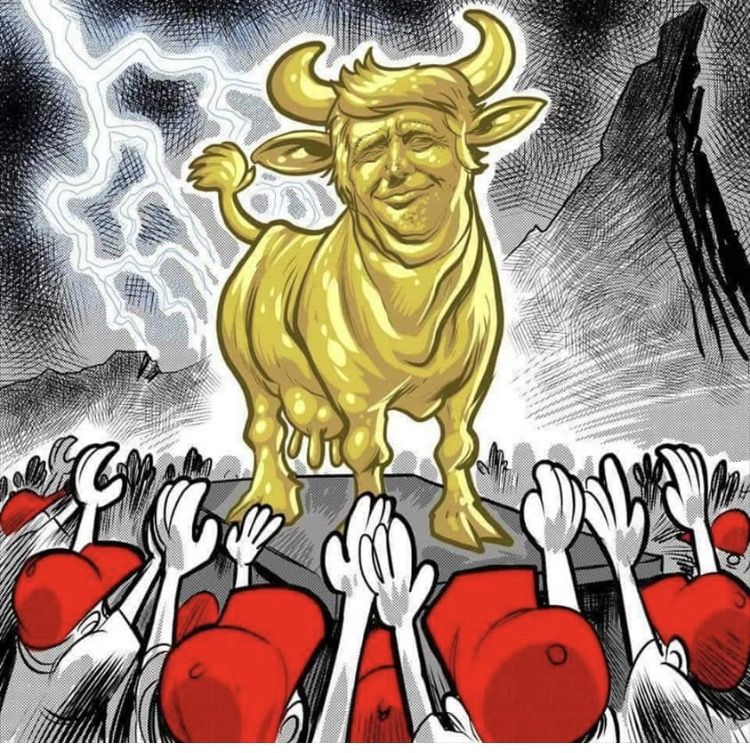 Albert86622017's tweet photo. @qAnon5_5 @RBReich None.  How much Faux News you watch, Toadie? https://t.co/QSJRbodPLd