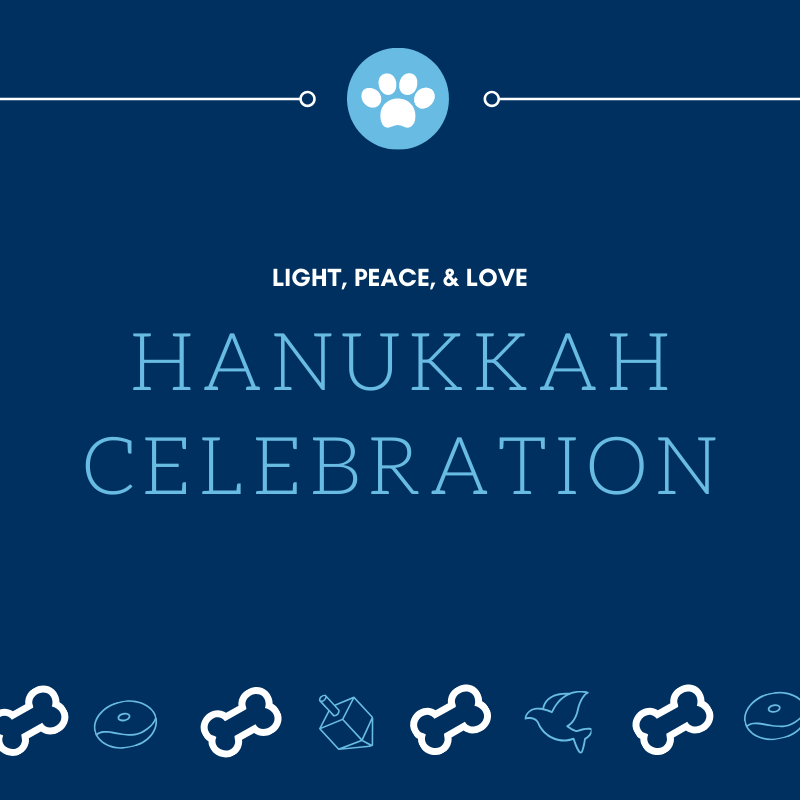 Dog for Dog tweet media