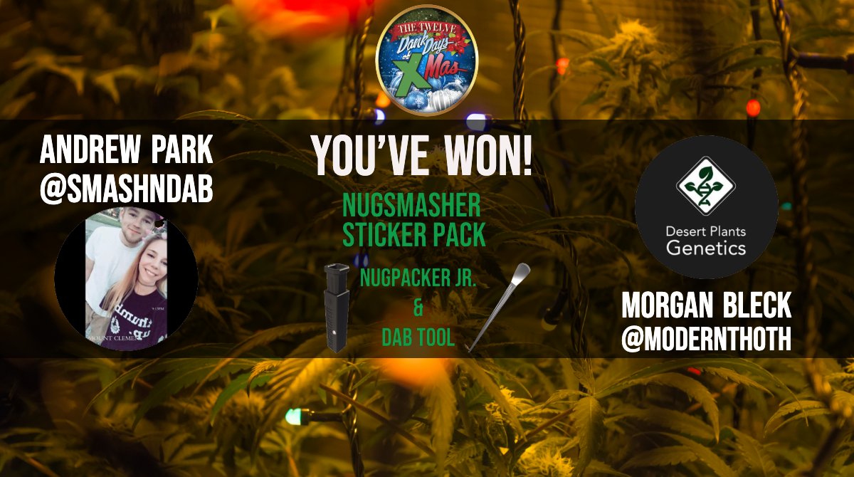 Nugsmasher's tweet photo. What's up Smashers! Help us congratulate the winners for today @SmashNDab and @ModernThoth. They've won our prize pack valued at over $60! There are only a few more days left, so visit https://t.co/vmMJpWBaFS to enter now! #12DankDaysofXmas #NugSmasher #contest #THC #CBD #retweet https://t.co/ORx7mOpe2r