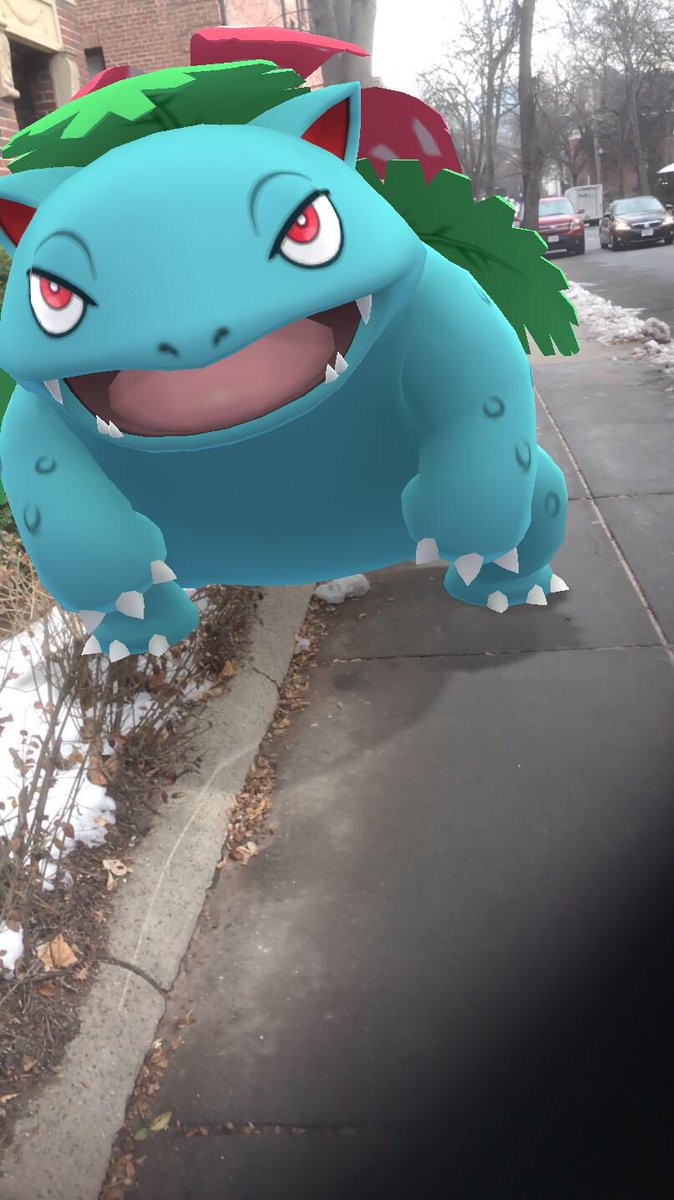 MRemy252's tweet photo. I have the cutest buddy Pokémon. Don’t argue this 🤣
#pokemongo #pokemongoar #GOsnapshot #buddypokemon #venusaur #hestands #heloves #pokemon @BulbaGanda this should make you happy 😍 https://t.co/pOEjucVsRa