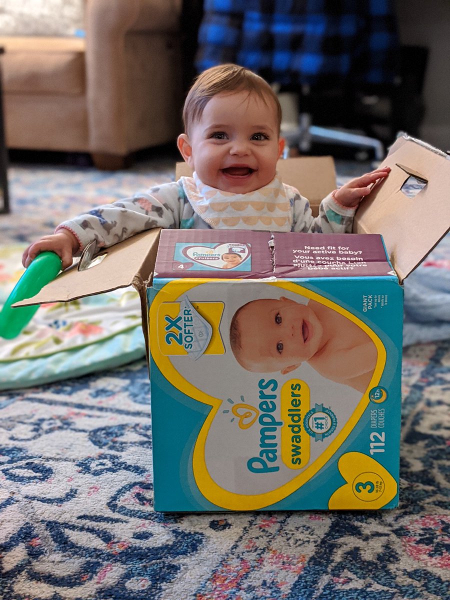 ToporHCF's tweet image. There was a catalyst here, and I have a feeling it is related to her container. #tinyterror #unboxing @Pampers
