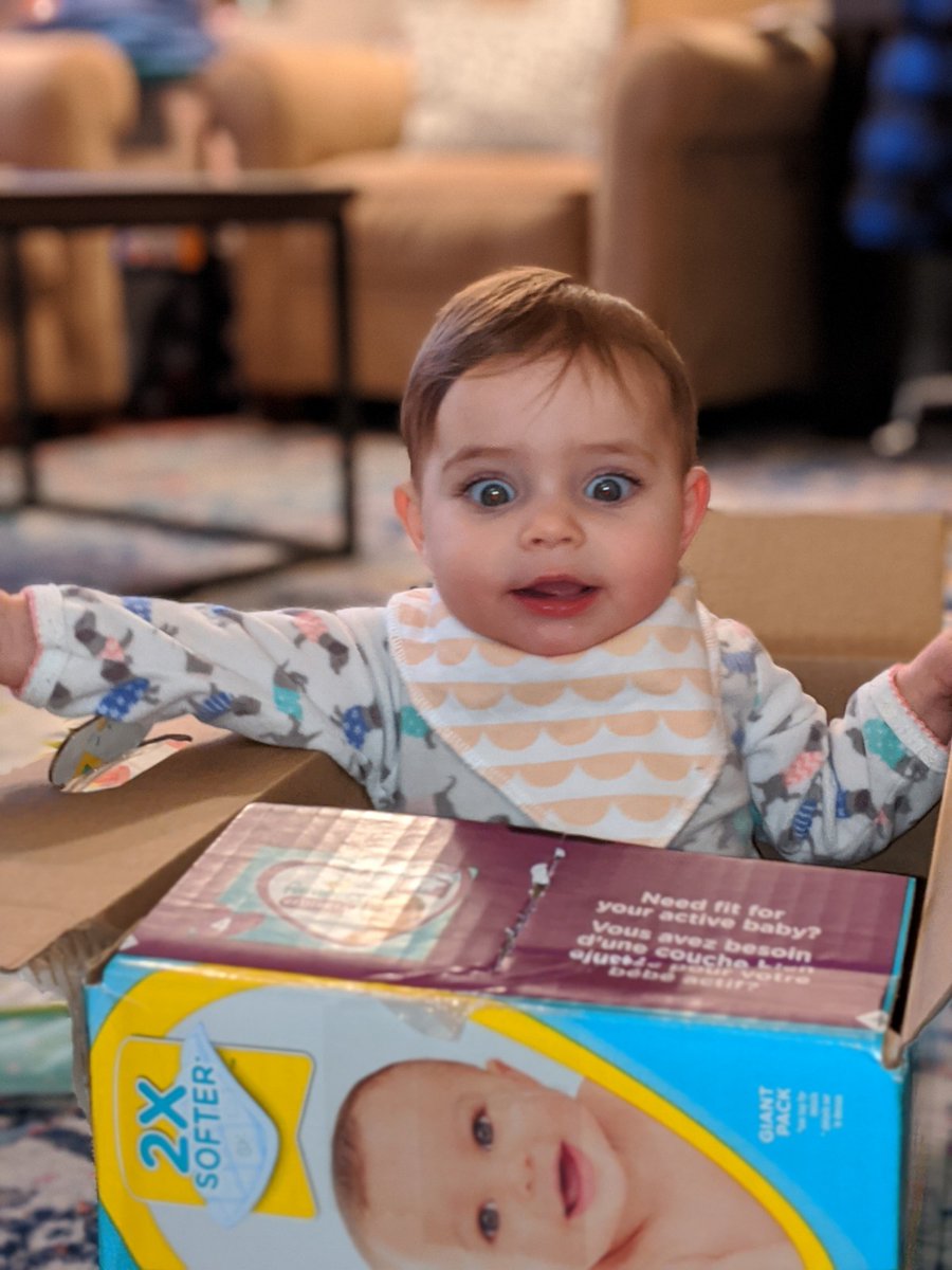 ToporHCF's tweet image. There was a catalyst here, and I have a feeling it is related to her container. #tinyterror #unboxing @Pampers