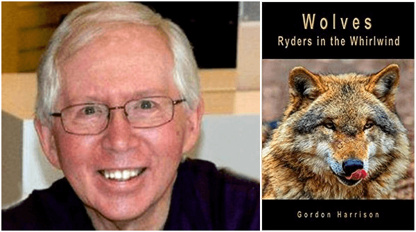 HunchPress's tweet photo. A compelling read - This book is the story of a wolf who was never at a loss during his journey home across Algonquin Park.#wolveslife @harrison1537 https://t.co/PU4UKFrHhL https://t.co/rIR8AleZkd