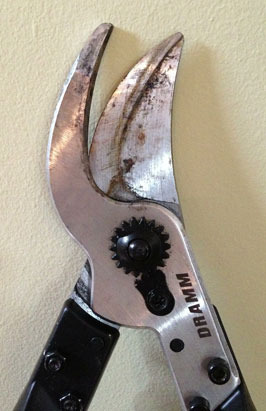 ThatBestHome's tweet image. Check out this tweet from GardenJunkie1:
Highly Recommended by #GPReview: Dramm ColorPoint Telescoping #Loppers bit.ly/2sZuDJM #gardening