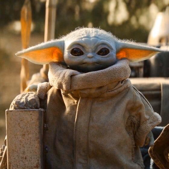 BachelorBob_'s tweet photo. Hannah Brown as Baby Yoda: A Thread https://t.co/xIuOhIDBEH