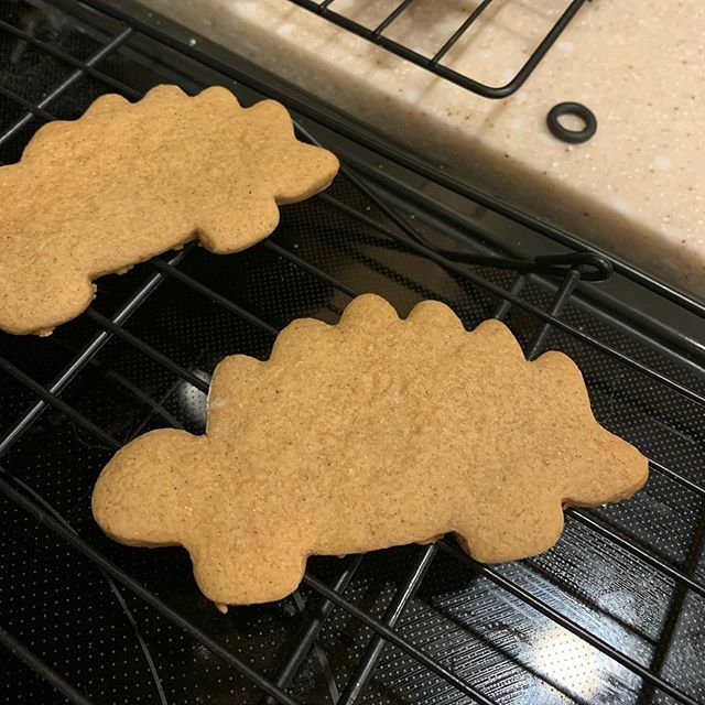 crmessyhouse's tweet photo. If you don’t have a gingerbread stegosaurus, is it really even Christmas? #boymom #cookiesofinstagram #festive #feliznavidino https://t.co/JK7SYuBdLC https://t.co/SA7pjf6r3F