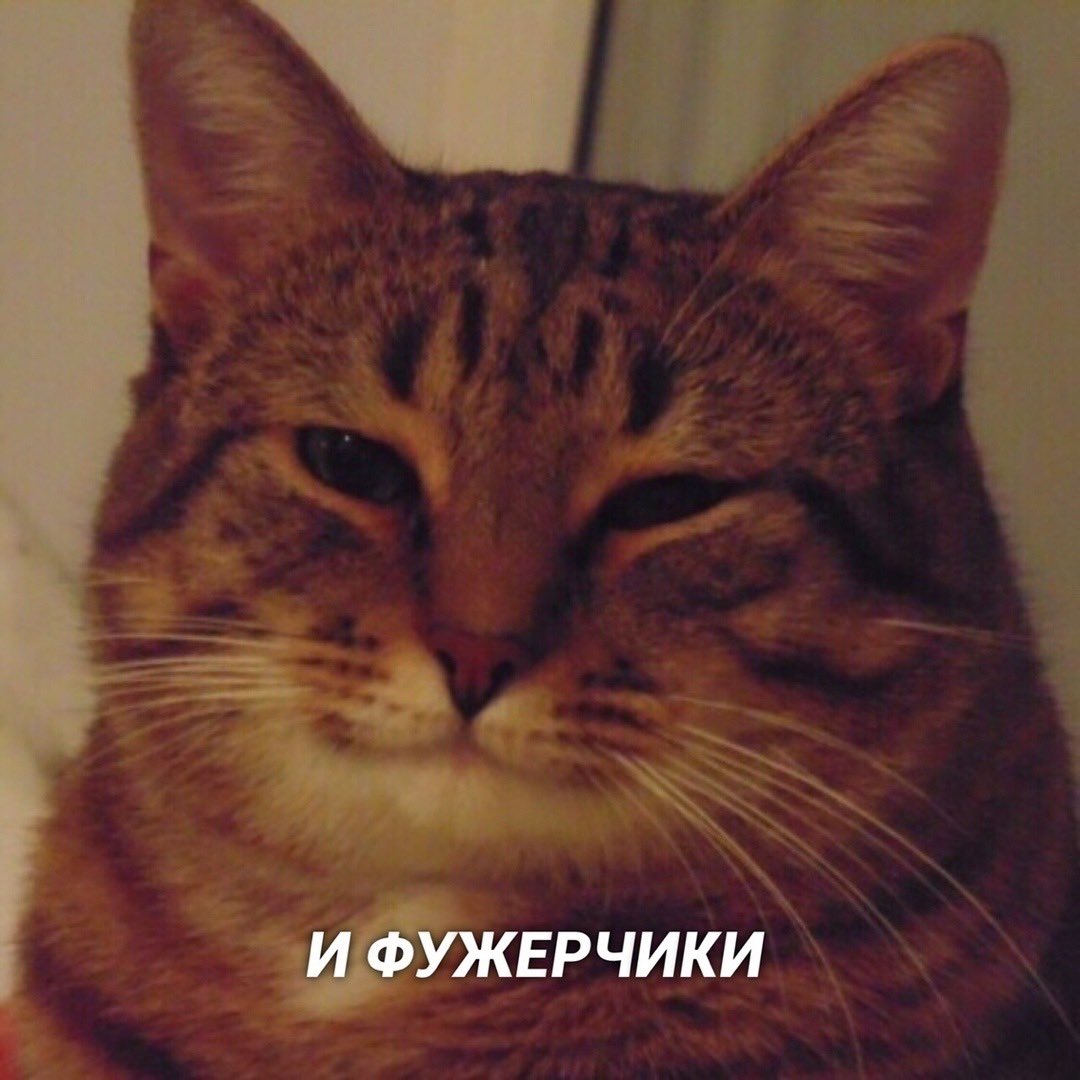 Yoghikitt's tweet photo. Слишком прекрасные комиксы про котов https://t.co/2X1VChGko4