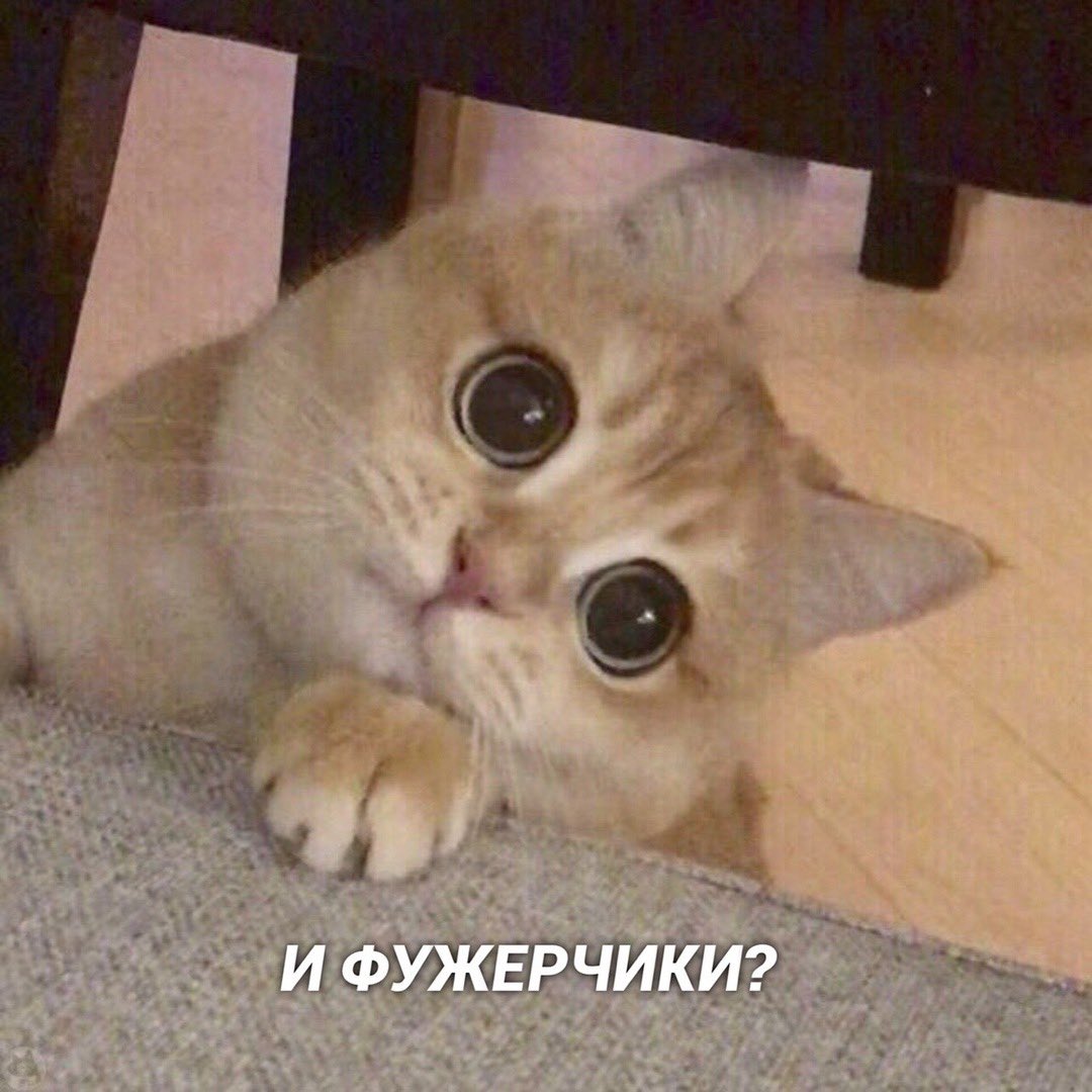 Yoghikitt's tweet photo. Слишком прекрасные комиксы про котов https://t.co/2X1VChGko4
