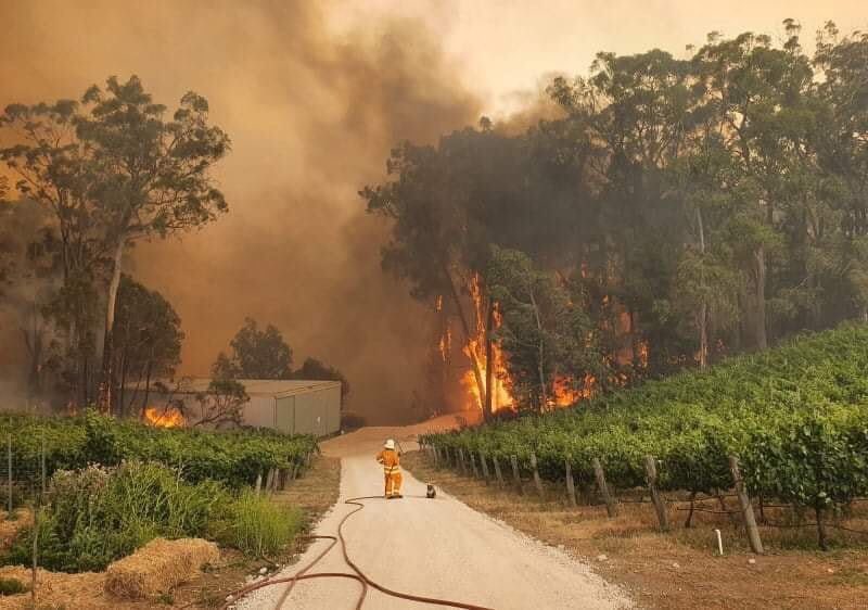 Westcountrywand's tweet photo. A very poignant image.
An #Australian #firefighter and a #KoalaBear both survey the scene of destruction in the #AdelaideHills #SouthAustralia 
#bushfires 
#bushfiressa 
#ClimateChange https://t.co/NU52fhpMUm