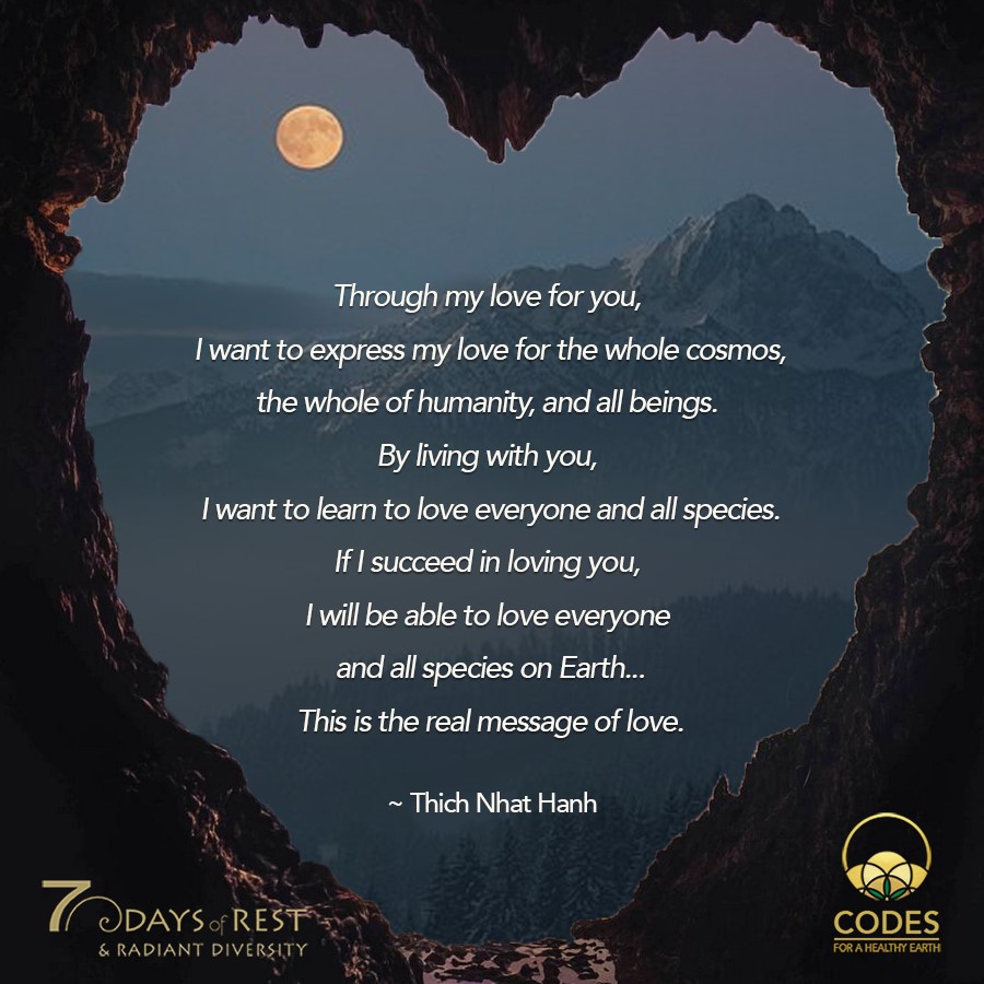 7DaysofRest's tweet photo. 7 Days of Rest is an annual global event that takes place the first week of every year. This year will be dedicated to exploring and remembering the essential nature of Life-enhancing diversity.

For more info visit https://t.co/f2hlCM0gnZ https://t.co/Ry3Ts507Mf