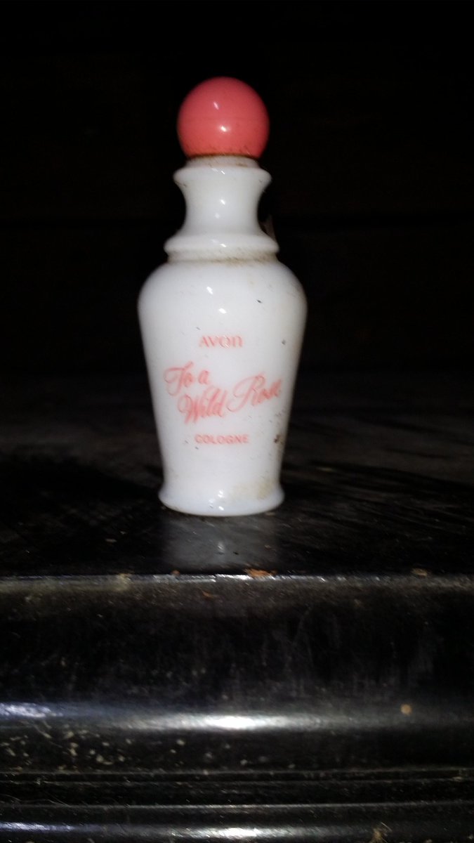 Almost a month so:Plumbing is almost doneFurnace cycles nice & quietGas/electric is way cheaperNow making various shelfs & racks to hold thingsDid a little suburban exploring in the guest house (see pics)Opened top of piano no maker's mark but a wooden soundboard?!