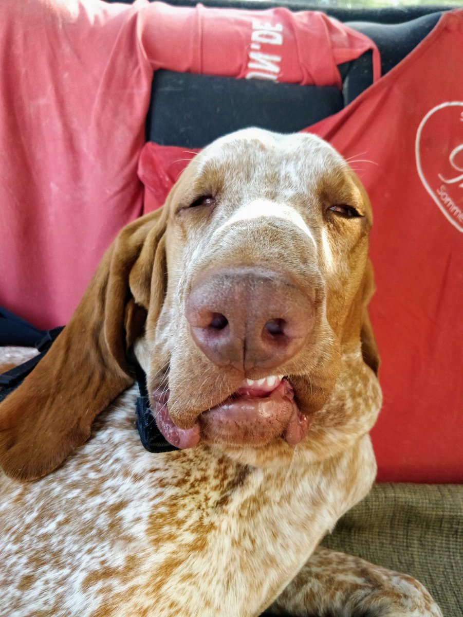 Basil Lange tweet media