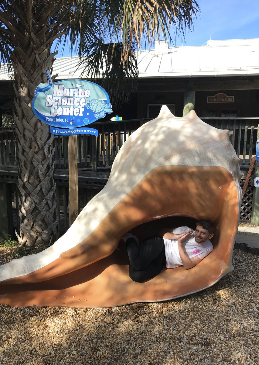 markledgerwood's tweet photo. pic of me comin outta my shell https://t.co/VftQ65jWJt